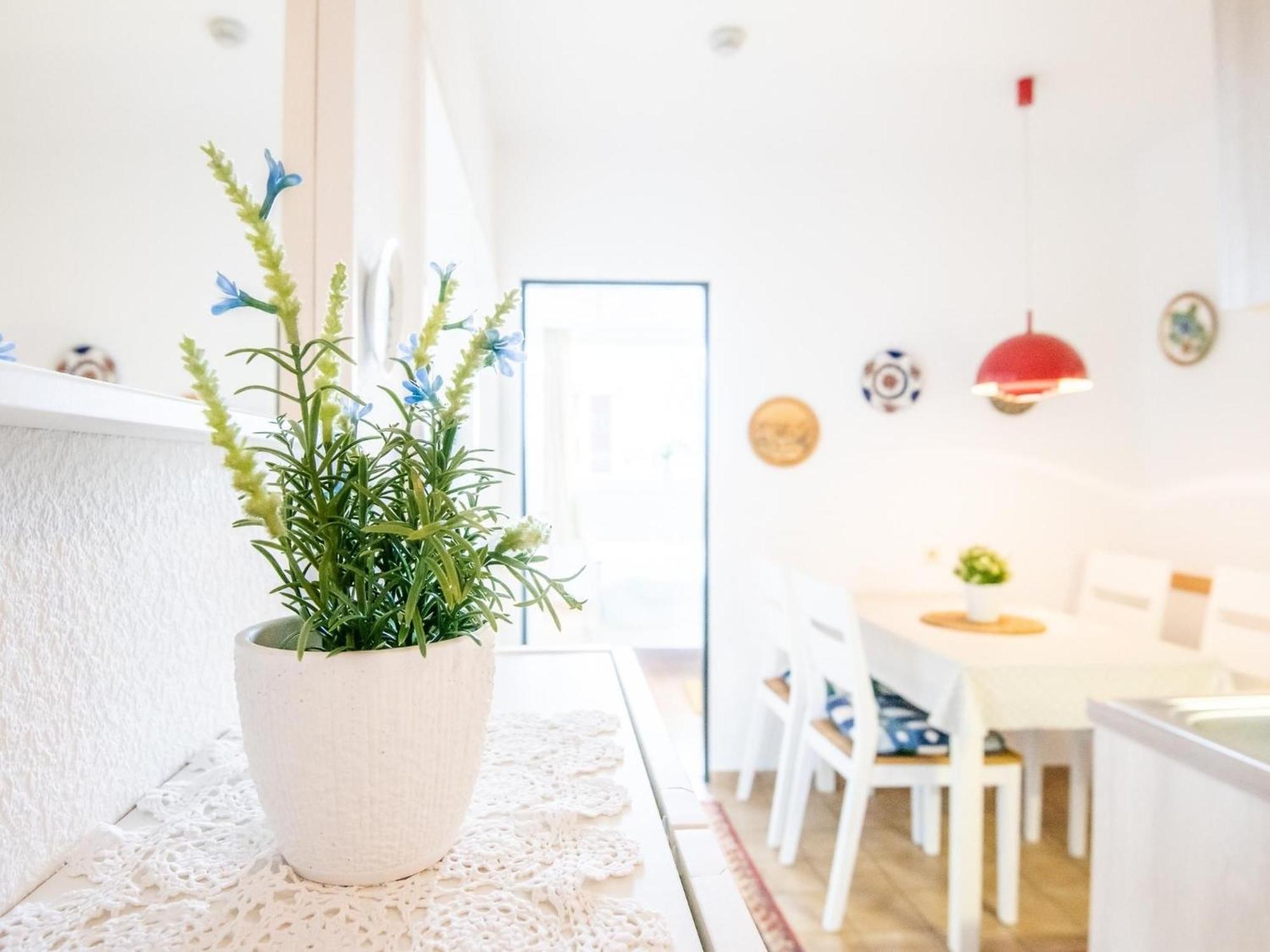 Haus Meeresblick Wohnung 24 Kellenhusen Eksteriør bilde